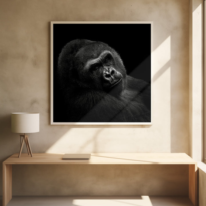 GORILLA II  , PHOTOGRAPHY PRINTS
