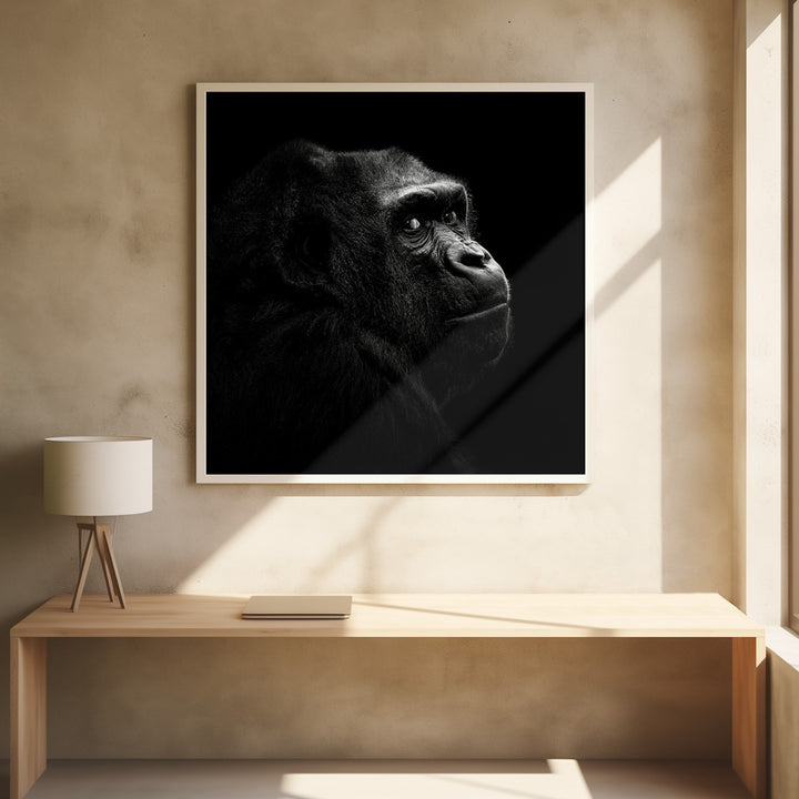 GORILLA I  , PHOTOGRAPHY PRINTS