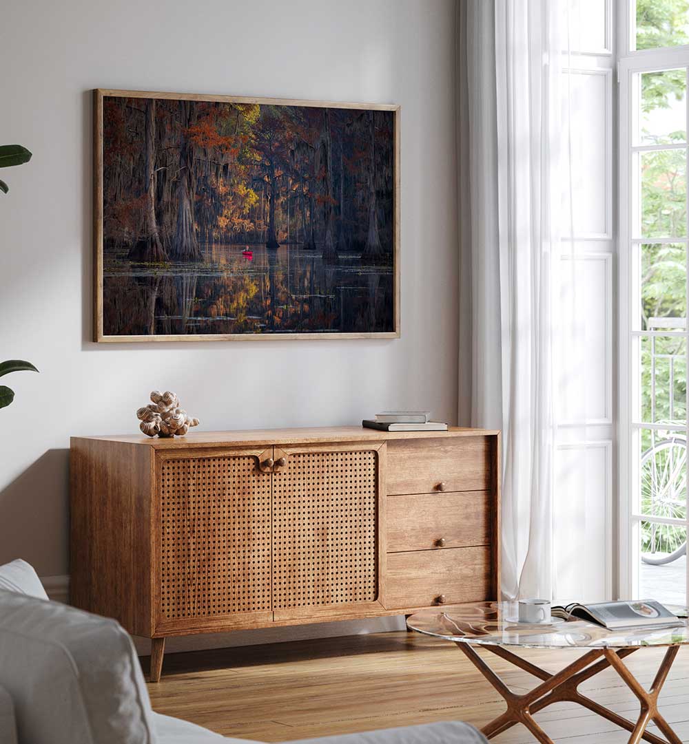 CADDO LAKE 2023 , PHOTOGRAPHY PRINTS