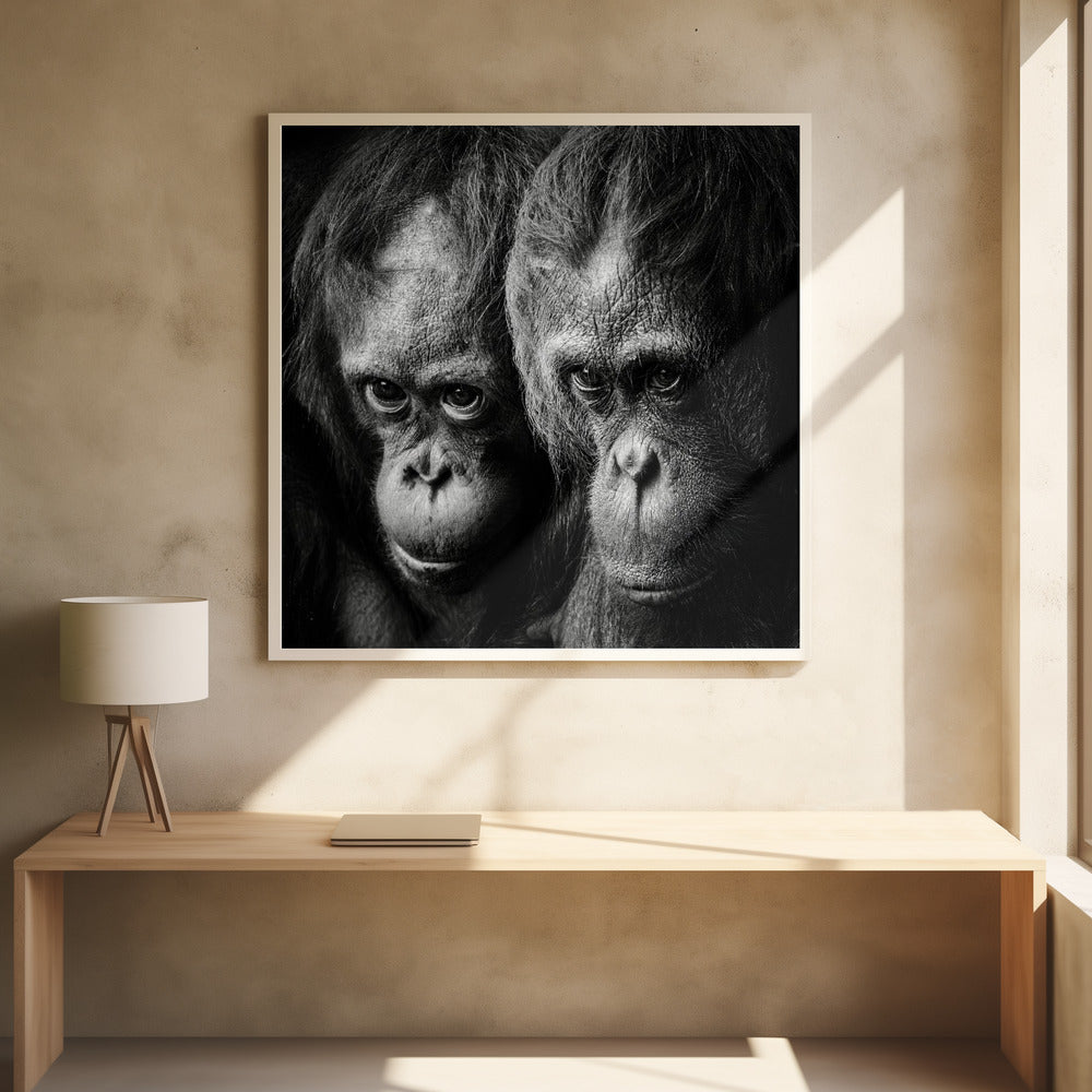 SOMETHING YOU SAID , PHOTOGRAPHY PRINTS