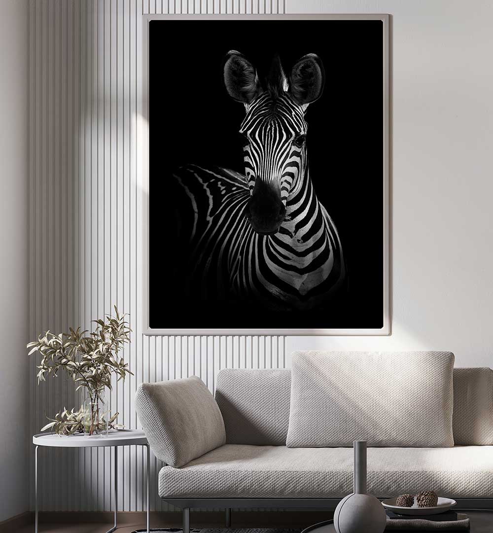 THE ZEBRA I  , PHOTOGRAPHY PRINTS