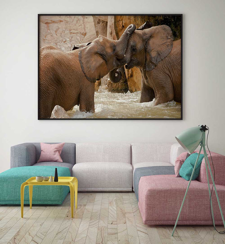 PLAY TIME , PHOTOGRAPHY PRINTS