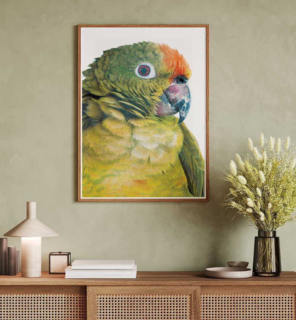 Framed PARROT GLANCE , ANIMAL PAINTINGS close-up of vibrant green and orange parrot above wooden console