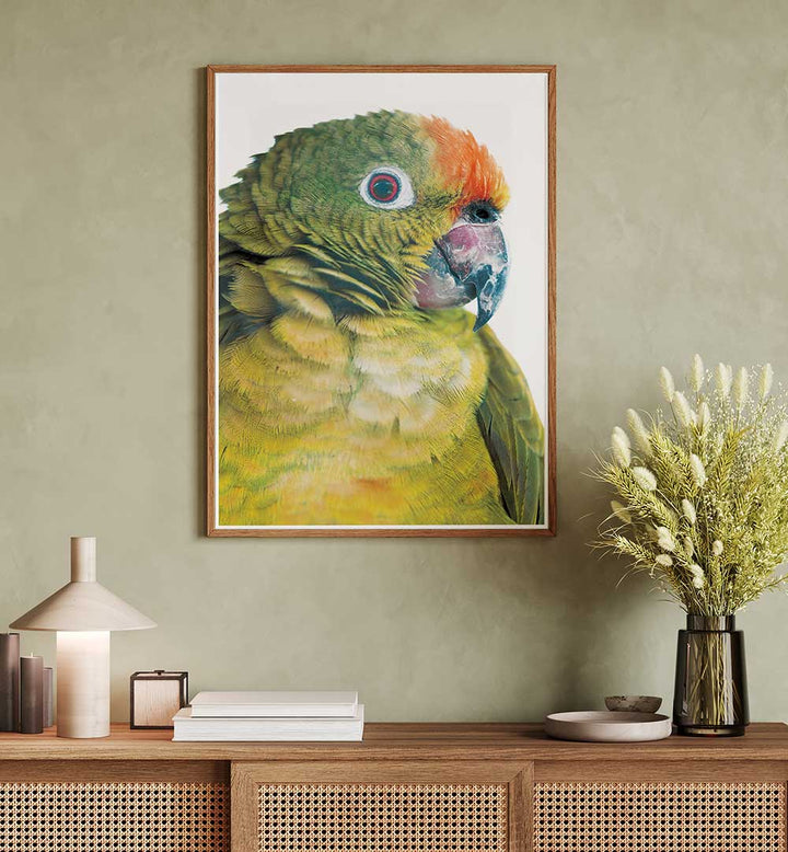 Framed PARROT GLANCE , ANIMAL PAINTINGS close-up of vibrant green and orange parrot above wooden console