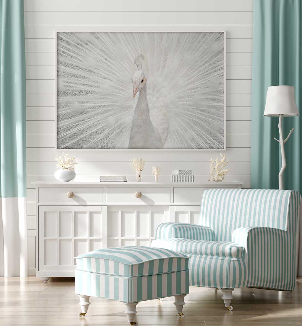 SPLENDID WHITE  , PHOTOGRAPHY PRINTS