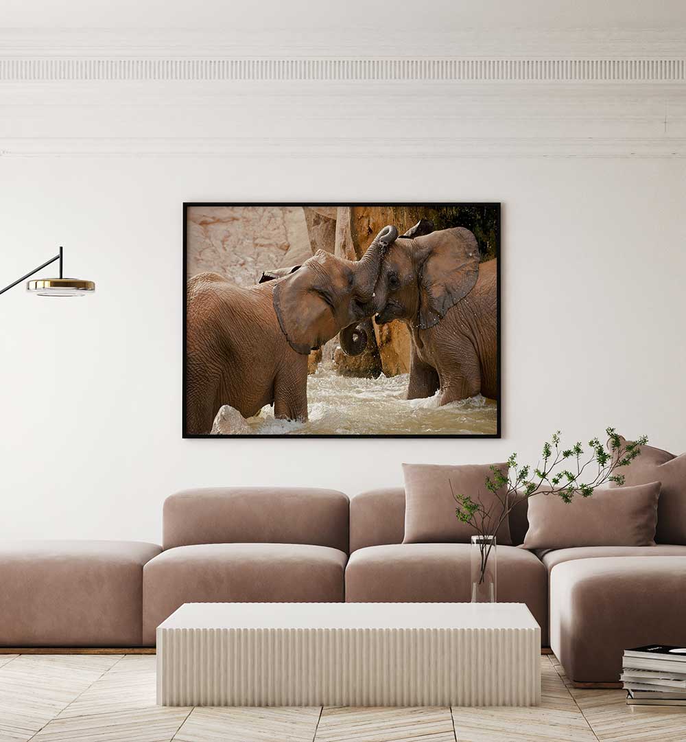 PLAY TIME , PHOTOGRAPHY PRINTS