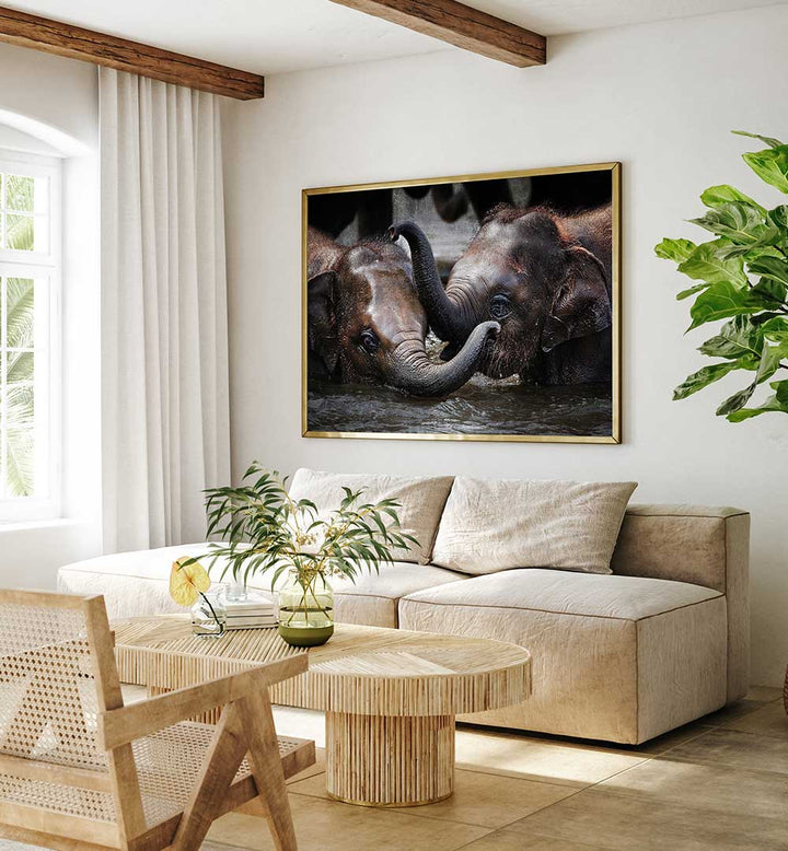 JUST WE TWO , PHOTOGRAPHY PRINTS