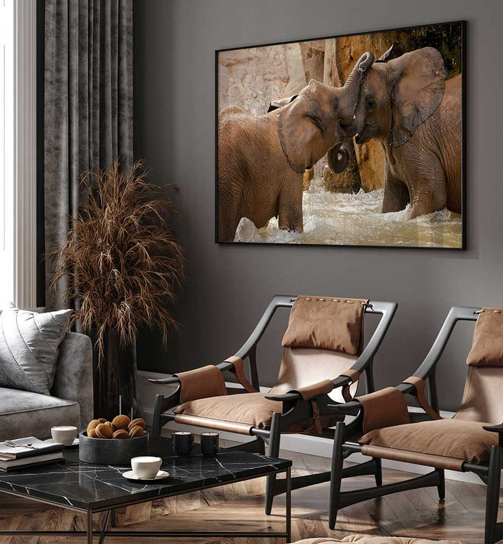 PLAY TIME , PHOTOGRAPHY PRINTS