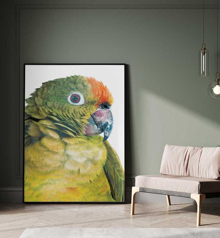 PARROT GLANCE , ANIMAL PAINTINGS framed green parrot portrait leaning in modern living room