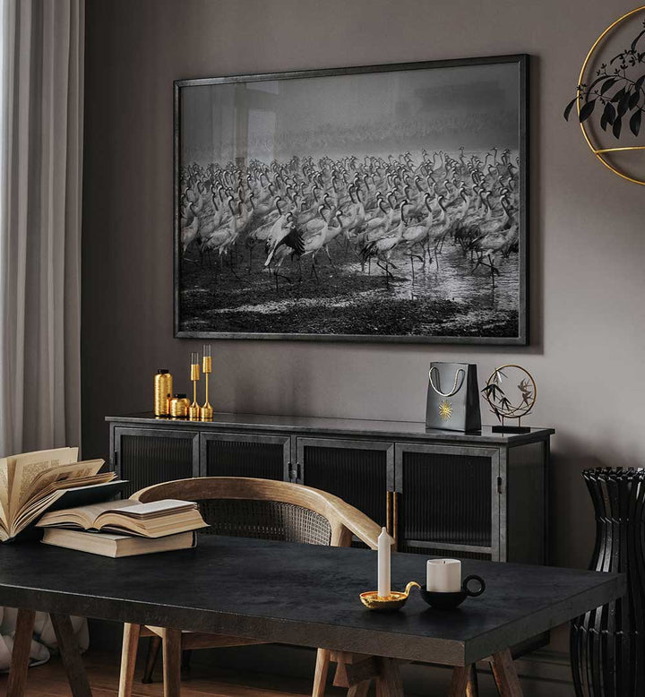 BIRD CITY, PHOTOGRAPHY PRINTS