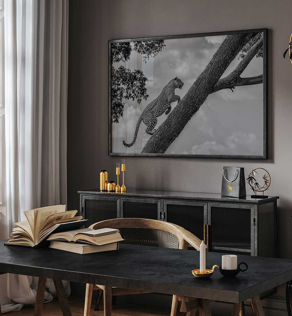 CLIMB UP , PHOTOGRAPHY PRINTS