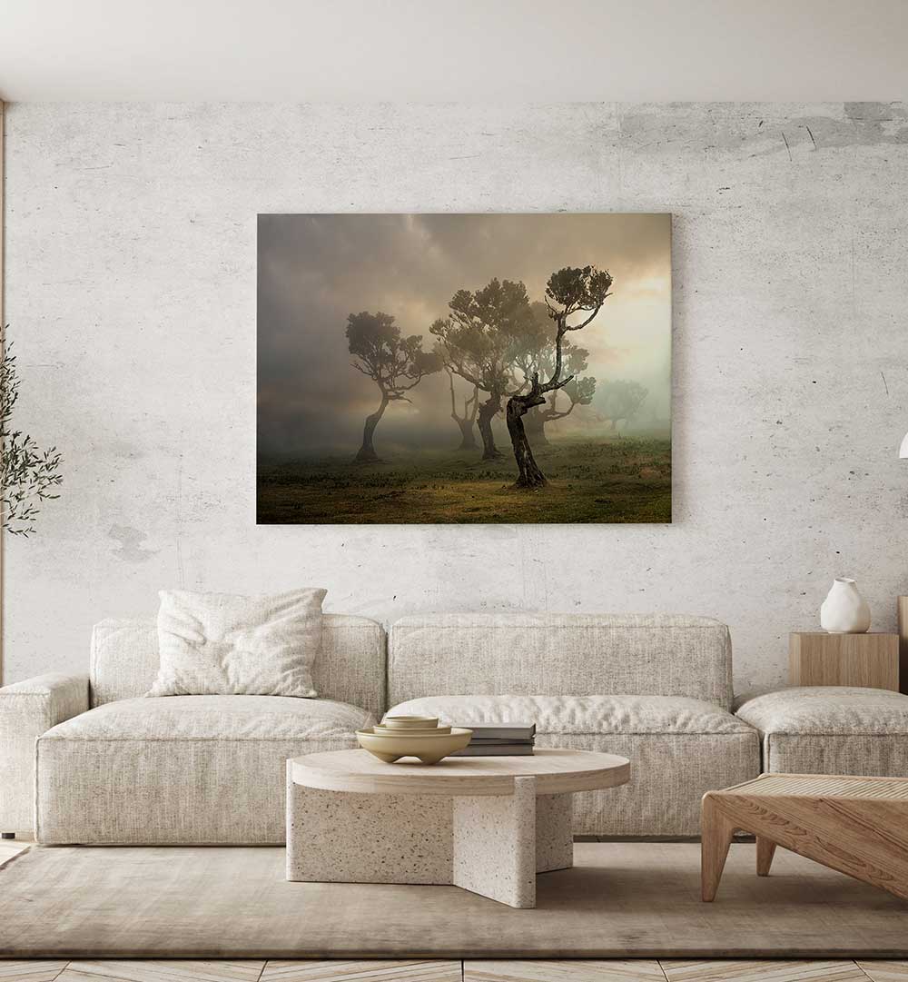 MISTY WEATHERS , PHOTOGRAPHY PRINTS