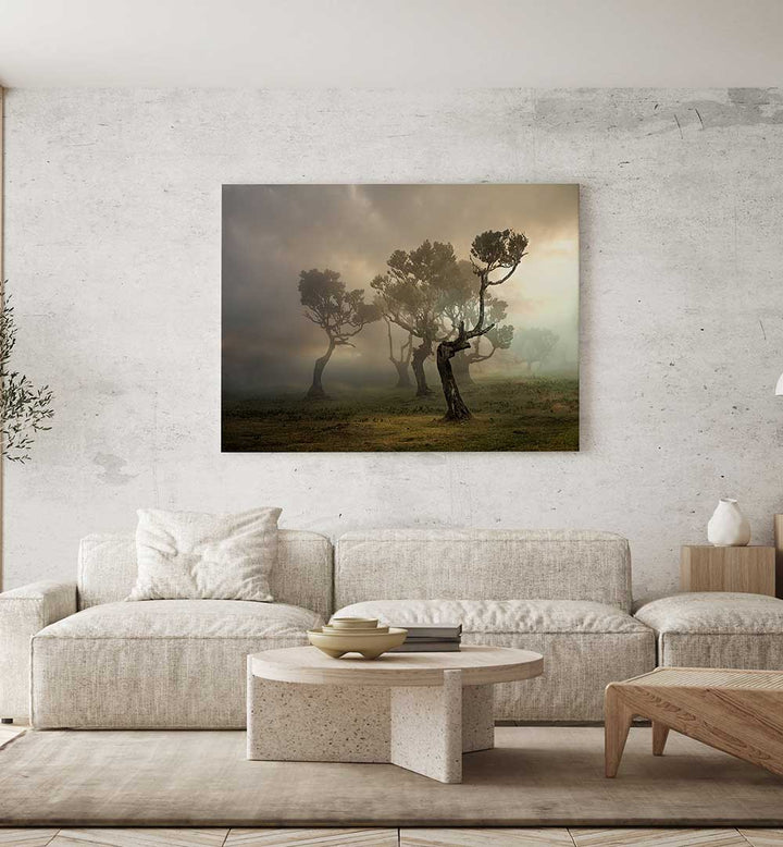 MISTY WEATHERS , PHOTOGRAPHY PRINTS