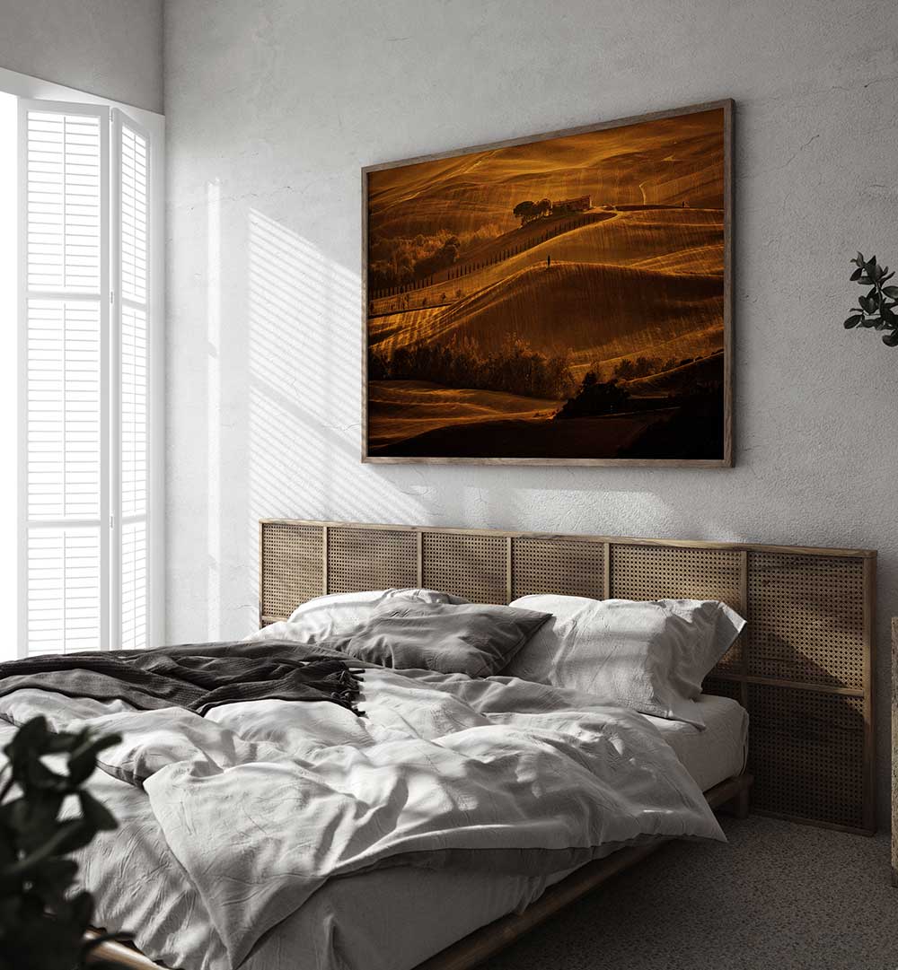 IL CIPRESSO , PHOTOGRAPHY PRINTS