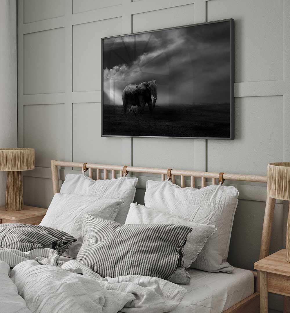 AFFECTION , PHOTOGRAPHY PRINTS