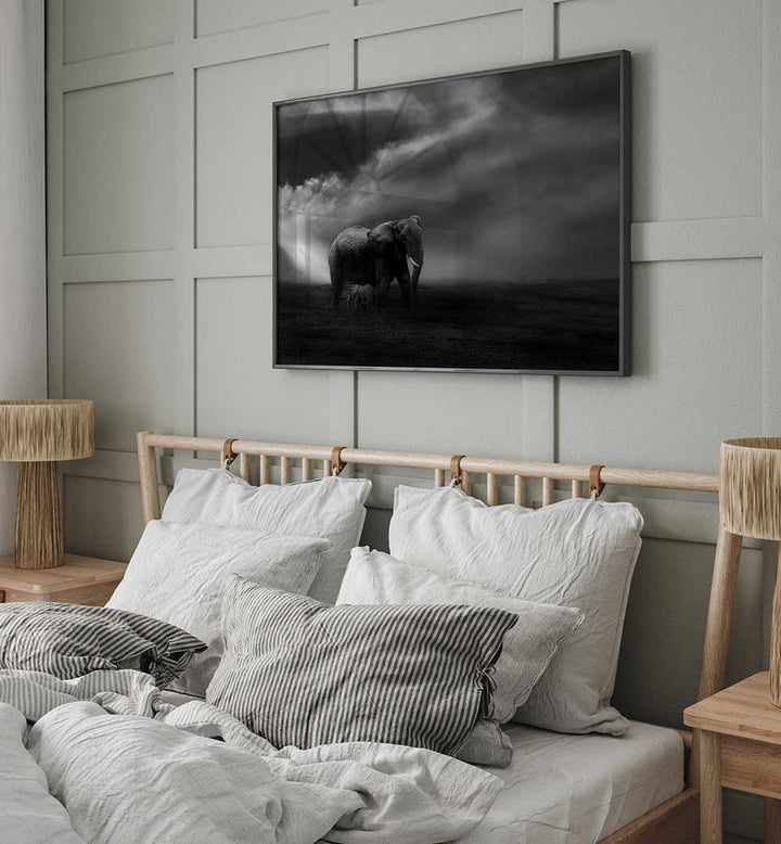 AFFECTION , PHOTOGRAPHY PRINTS