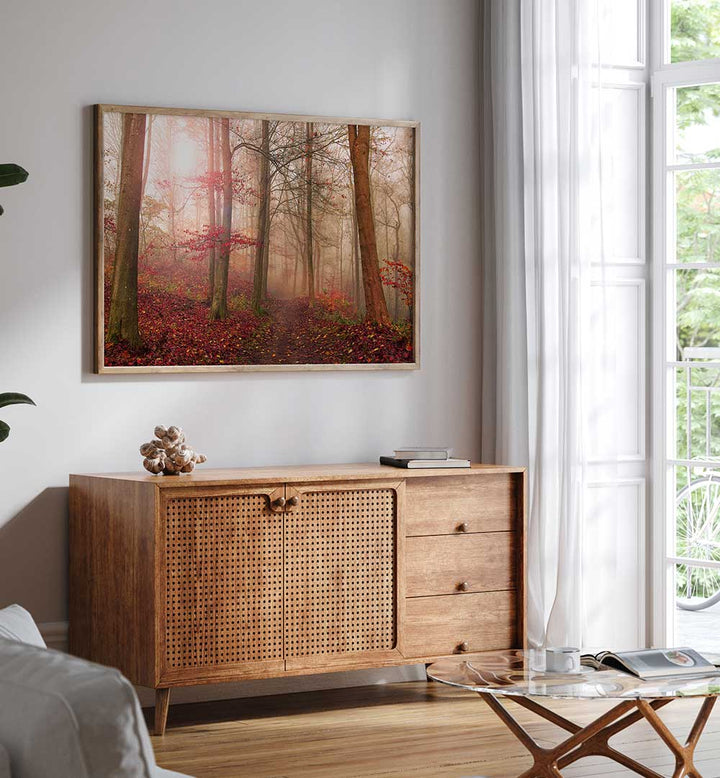 FOREST SCENE. , PHOTOGRAPHY PRINTS