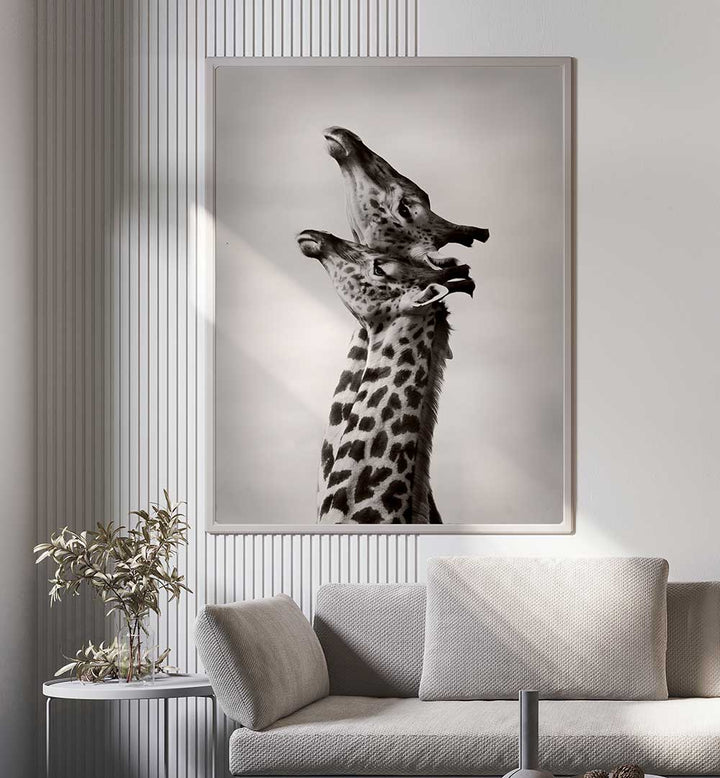 TRUE LOVE  , PHOTOGRAPHY PRINTS