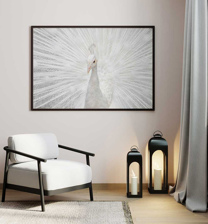 SPLENDID WHITE  , PHOTOGRAPHY PRINTS