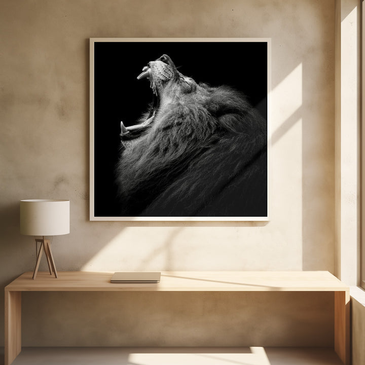 PRIMAL YAWN  , PHOTOGRAPHY PRINTS