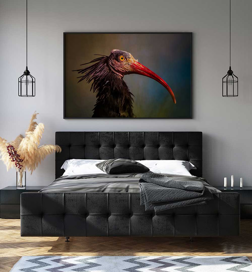 SPLENDOROUS BEAUTY  , PHOTOGRAPHY PRINTS