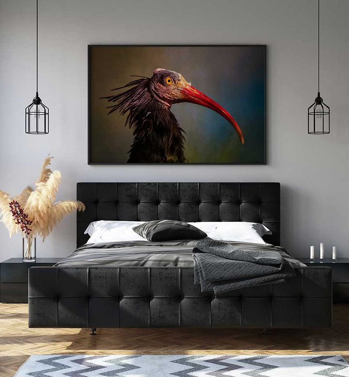 SPLENDOROUS BEAUTY  , PHOTOGRAPHY PRINTS