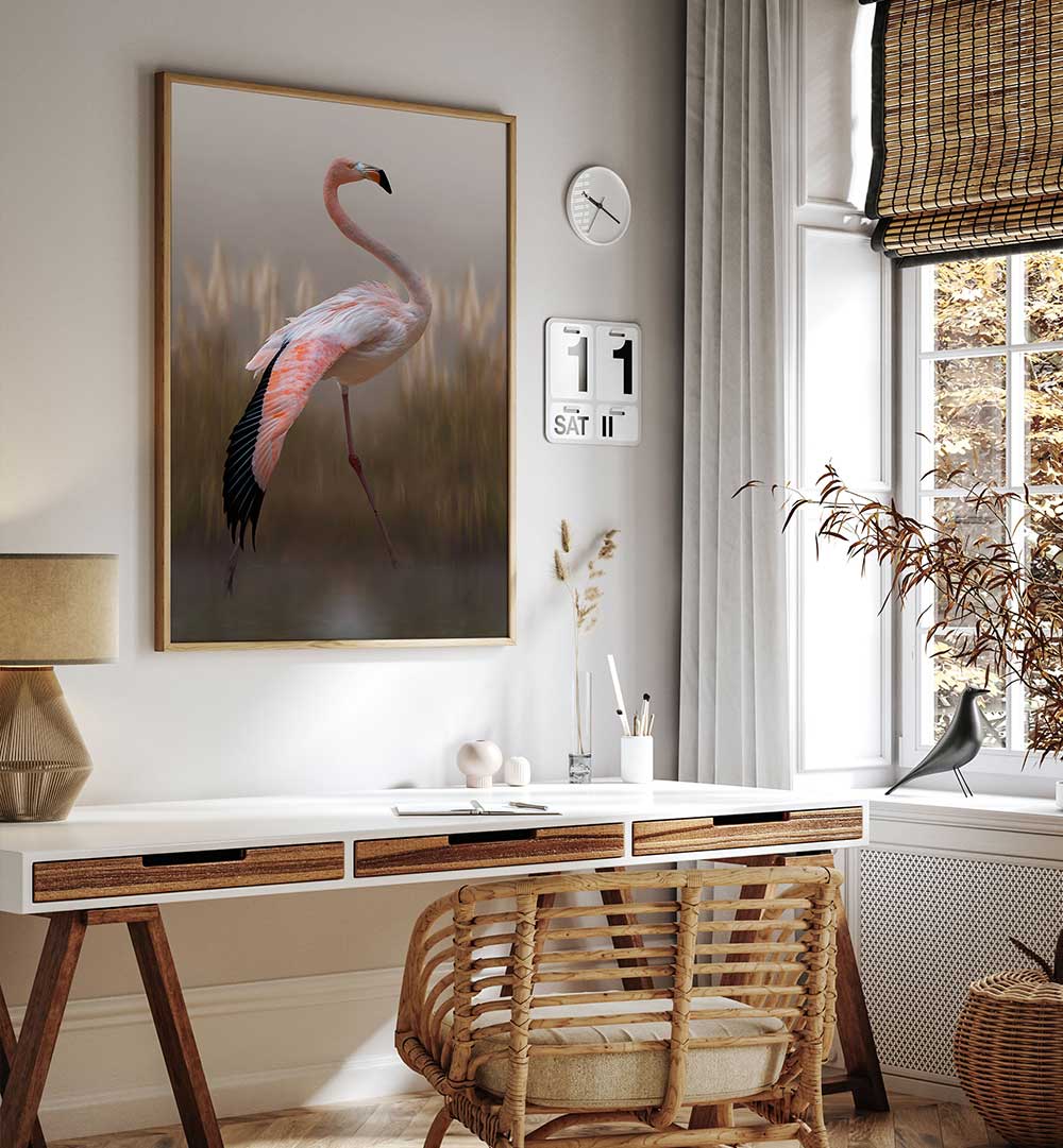 GRACE  , PHOTOGRAPHY PRINTS