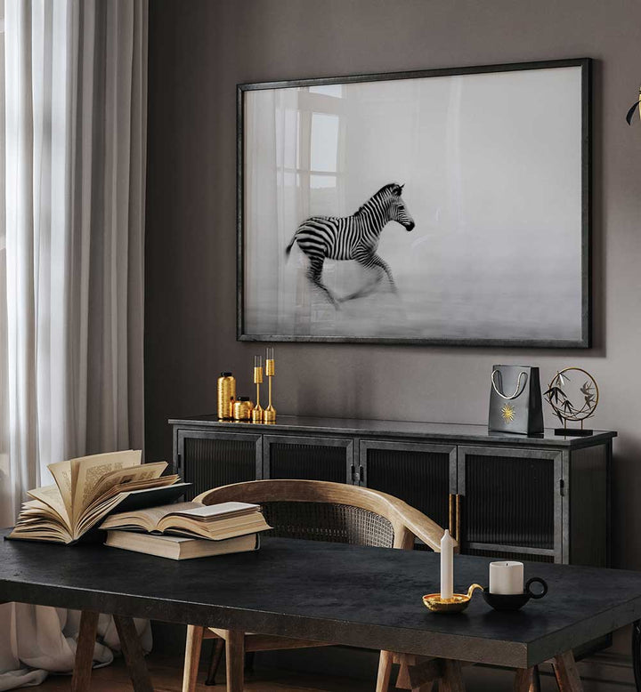 ZEBRA RUN  , PHOTOGRAPHY PRINTS