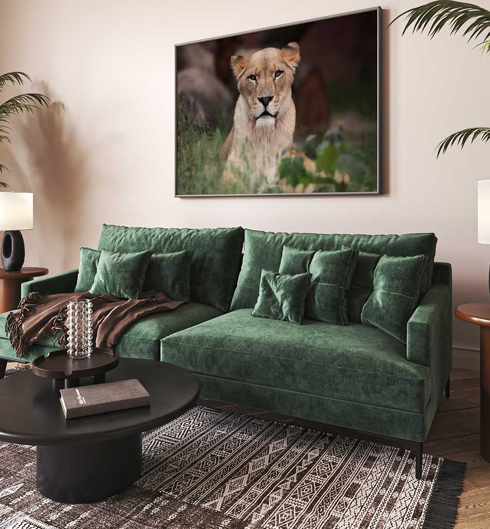 LIONESS , PHOTOGRAPHY PRINTS