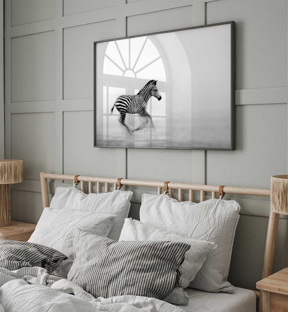 ZEBRA RUN  , PHOTOGRAPHY PRINTS