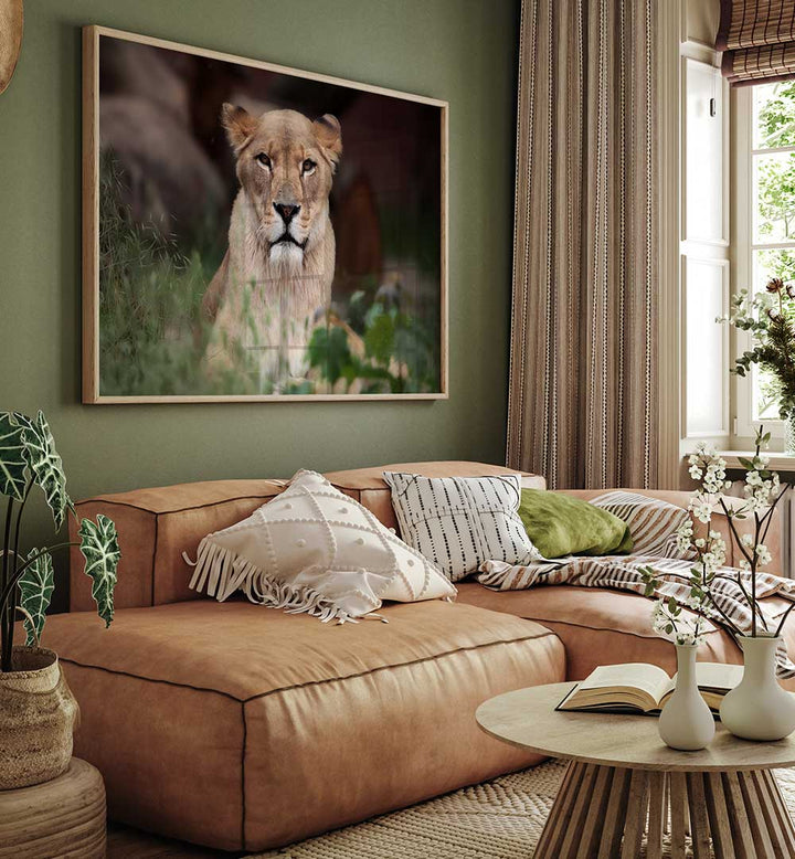 LIONESS , PHOTOGRAPHY PRINTS