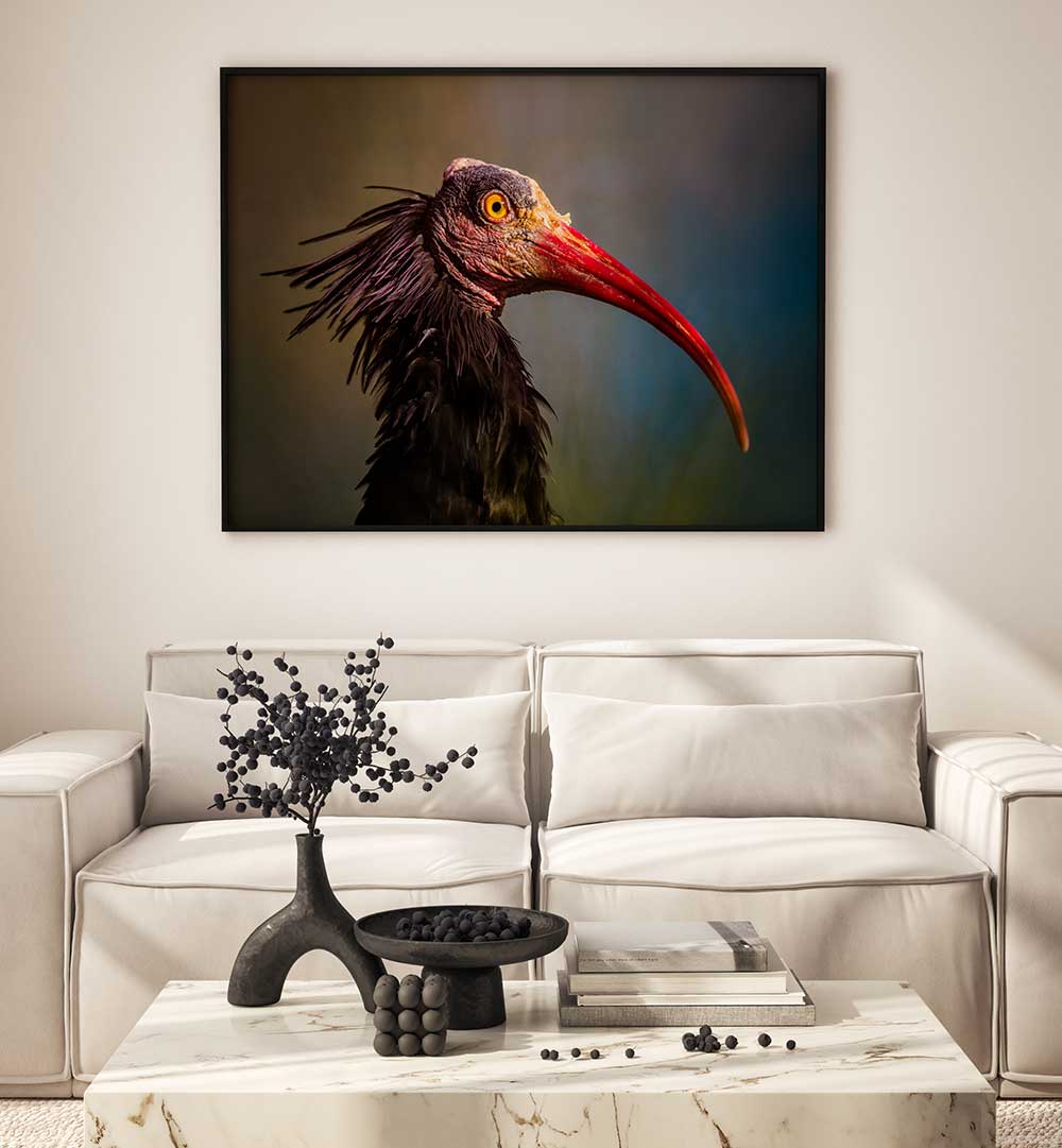 SPLENDOROUS BEAUTY  , PHOTOGRAPHY PRINTS