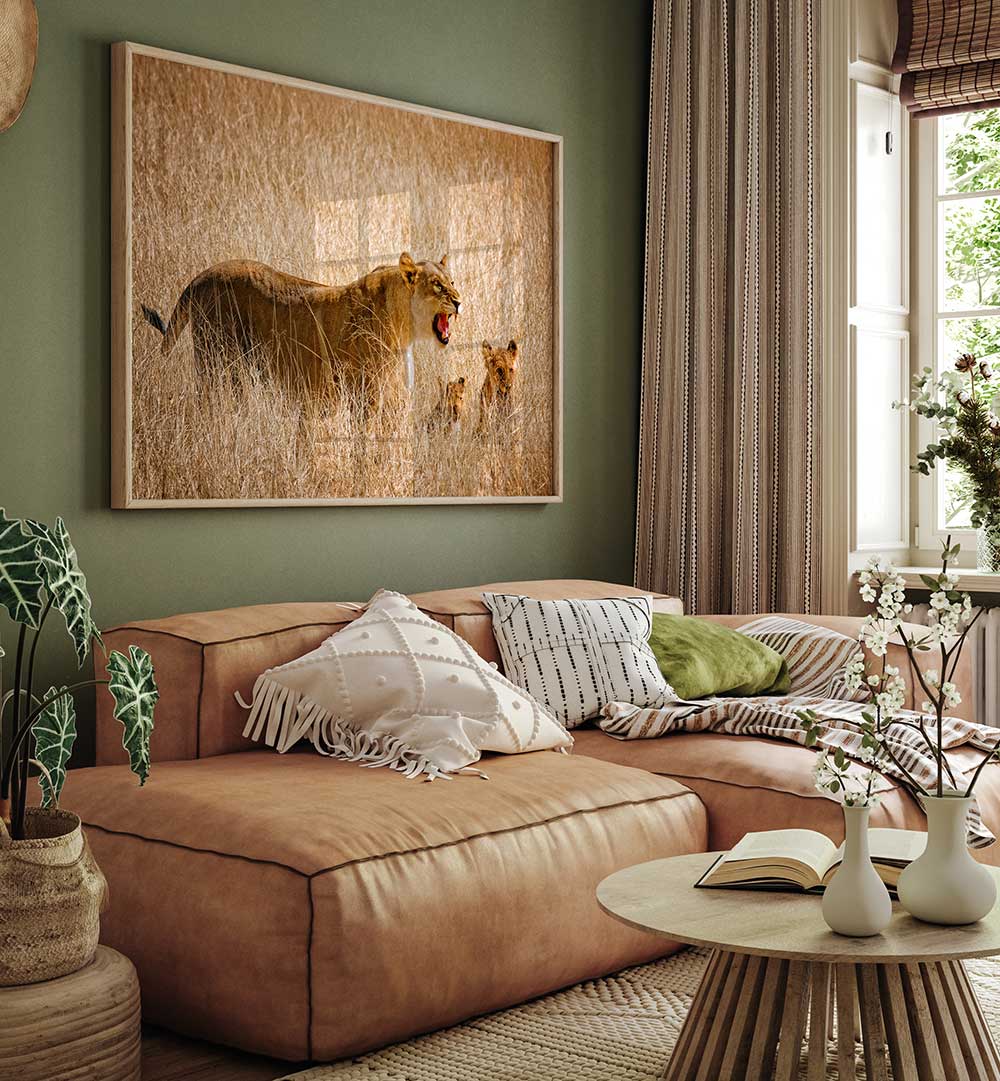 DONT DISTURB ME , PHOTOGRAPHY PRINTS