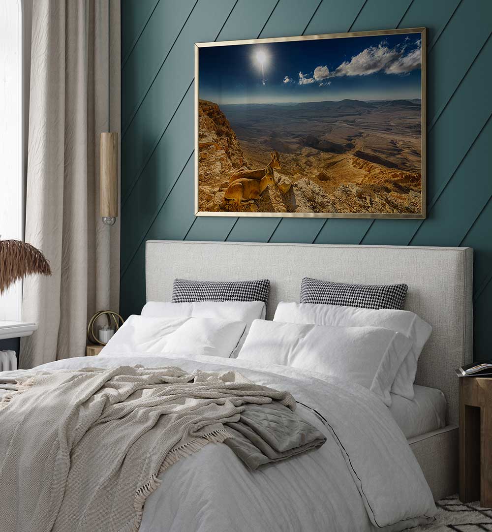 MORNING VIEW , PHOTOGRAPHY PRINTS