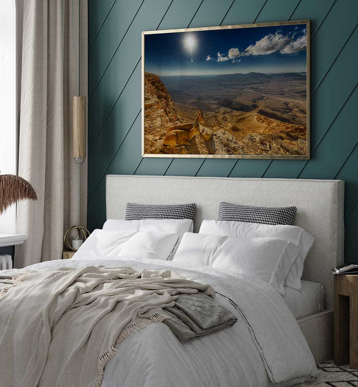 MORNING VIEW , PHOTOGRAPHY PRINTS