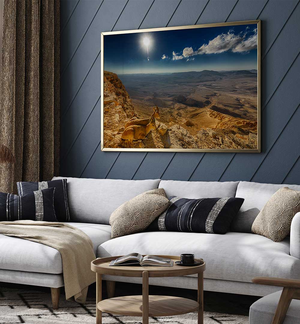 MORNING VIEW , PHOTOGRAPHY PRINTS