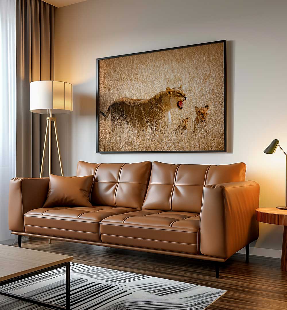 DONT DISTURB ME , PHOTOGRAPHY PRINTS