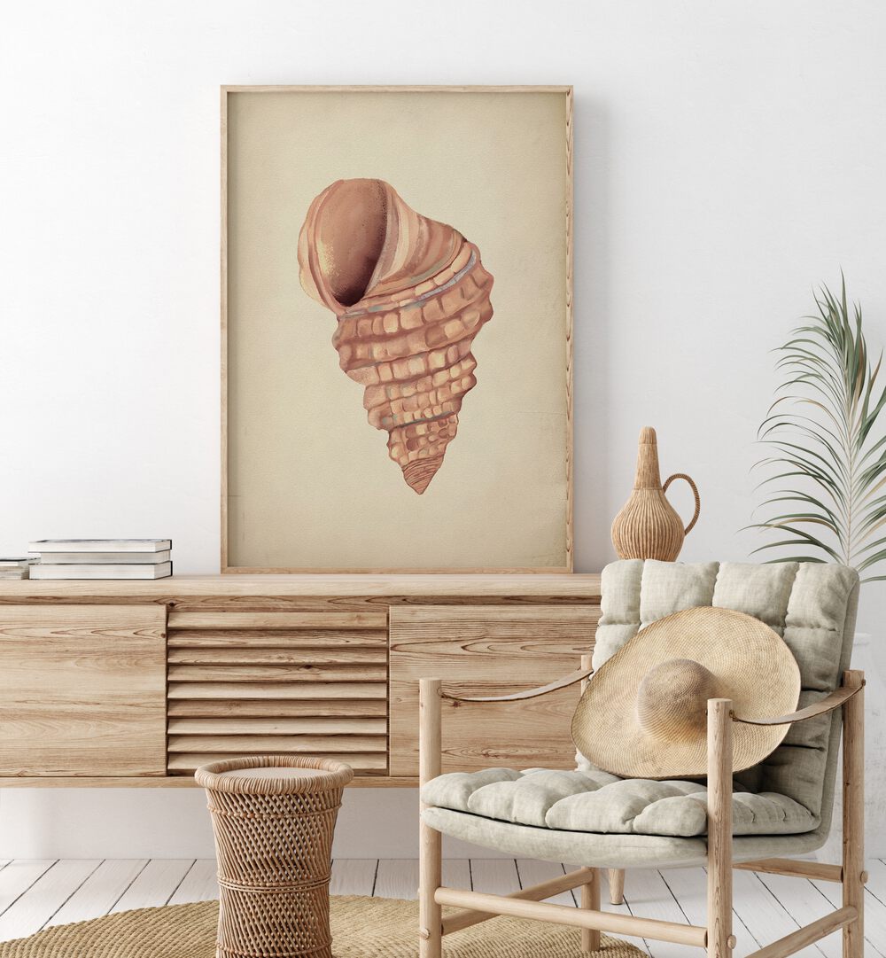 Stylish PINK SEASHELLS, BEACH PAINTINGS enhance coastal decor, bringing nature's beauty into your home.