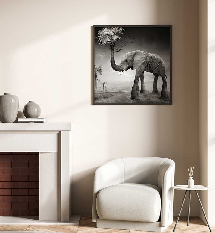 THE STORY OF ELEPHANTS , PHOTOGRAPHY PRINTS