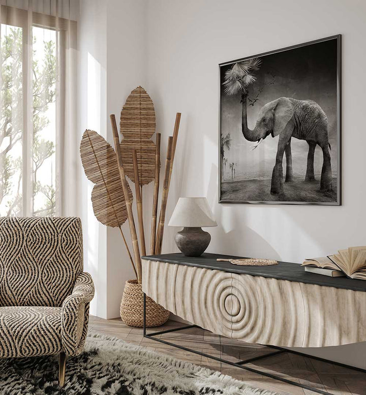 THE STORY OF ELEPHANTS , PHOTOGRAPHY PRINTS