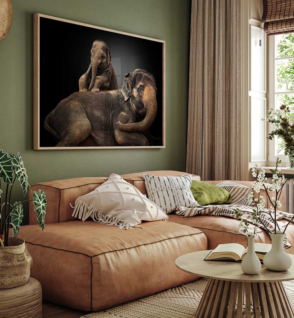 MY BELOVED TROUBLEMAKER , PHOTOGRAPHY PRINTS