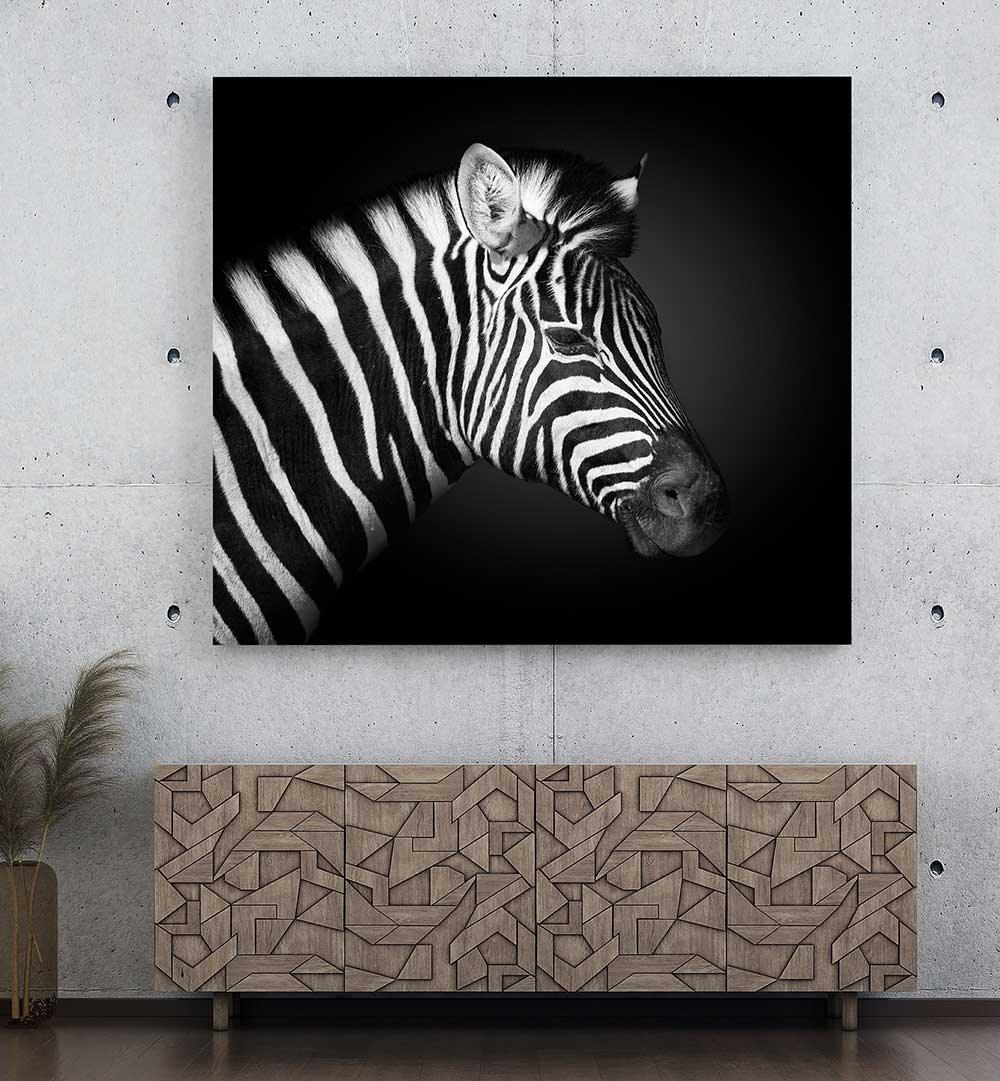 ZEBRA  , PHOTOGRAPHY PRINTS