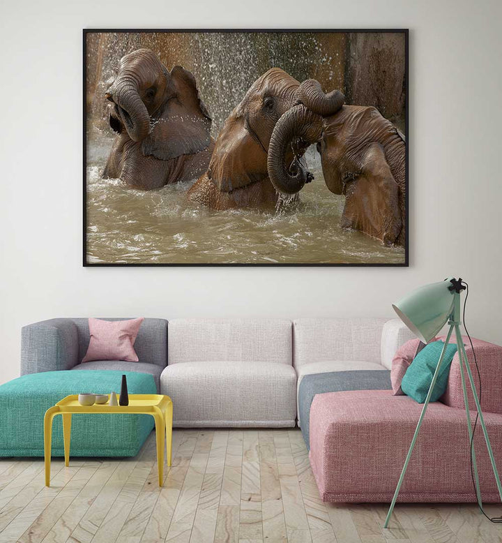 BATH TIME PLAY, PHOTOGRAPHY PRINTS