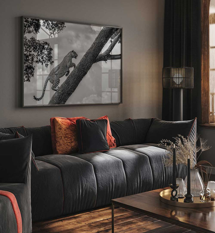 CLIMB UP , PHOTOGRAPHY PRINTS