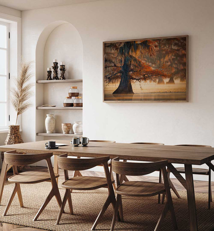 A CYPRESS IN FALL WATER , PHOTOGRAPHY PRINTS