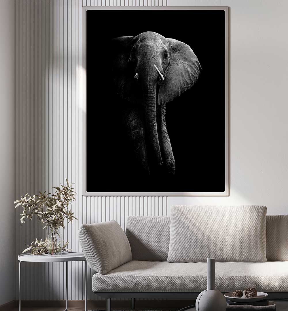 ELEPHANT III  , PHOTOGRAPHY PRINTS