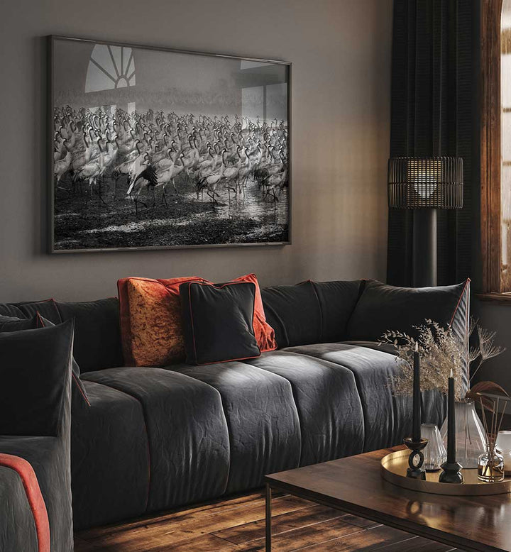 BIRD CITY, PHOTOGRAPHY PRINTS