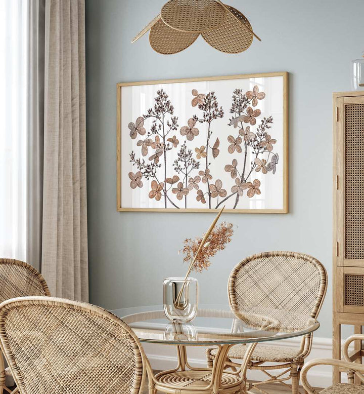 Stunning HYDRANGEA PANICULATA, FLORAL FLOWER PAINTINGS enhance your space with elegant, elongated flower clusters.