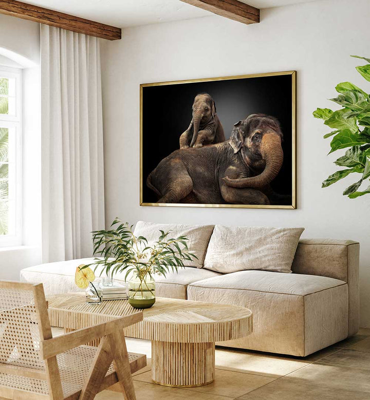 MY BELOVED TROUBLEMAKER , PHOTOGRAPHY PRINTS