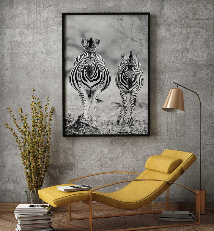 STRIPED HORSE , ANIMAL PAINTINGS: black-and-white framed zebra pair above a yellow chaise lounge in a modern room